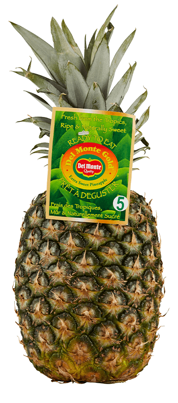 lg-pineapple