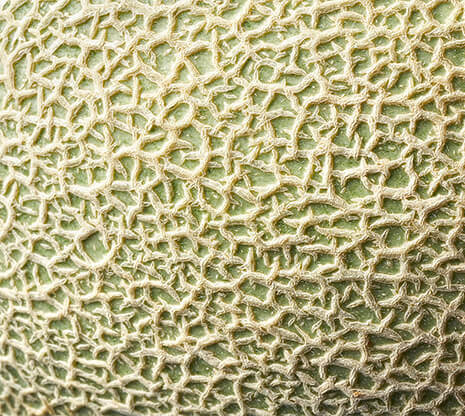 melon-texture