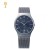 SKAGEN Grenen Titanium and Gray Steel-Mesh Watch