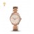 FOSSIL Tailor Multifunction Rose-Gold-Tone Stainless Steel Watch